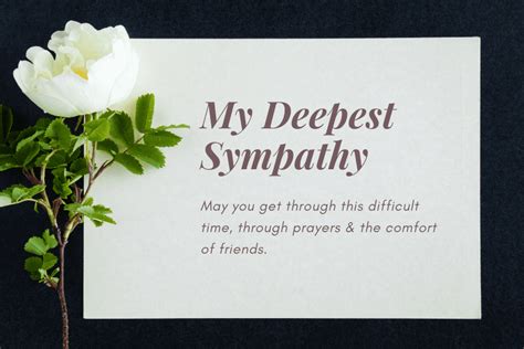 spell condolences|how do you spell condolences.